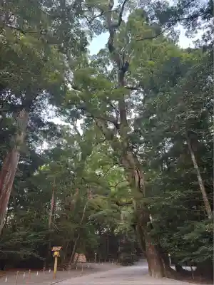 伊勢神宮内宮（皇大神宮）(三重県)