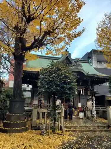 小野照崎神社の本殿・本堂