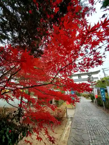 滑川神社 - 仕事と子どもの守り神の自然