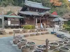 三室戸寺(京都府)