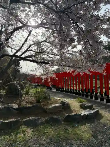 高山稲荷神社の{uncategorized: "未分類", other: "その他", undefined: "問題あり", building: "その他建物", grave: "お墓", sacred_gate: "鳥居", guardian: "狛犬", statue: "像", buddha: "仏像", history: "歴史", nature: "自然", garden: "庭園", animal: "動物", pagoda: "塔", temizu: "手水舎", mountain_gate: "山門・神門", sanctuary: "本殿・本堂", subordinate: "末社・摂社", art: "芸術", scenery: "景色", jizo: "地蔵", ema: "絵馬", goshuin: "御朱印", omikuji: "おみくじ", items: "授与品その他", amulet: "お守り", goshuincho: "御朱印帳", eats: "食事", festival: "お祭り", votive_dance: "神楽", shichigosan: "七五三参", wedding: "結婚式", experience: "体験その他", initially: "初詣", around: "周辺", anti_infection: "感染症対策"}