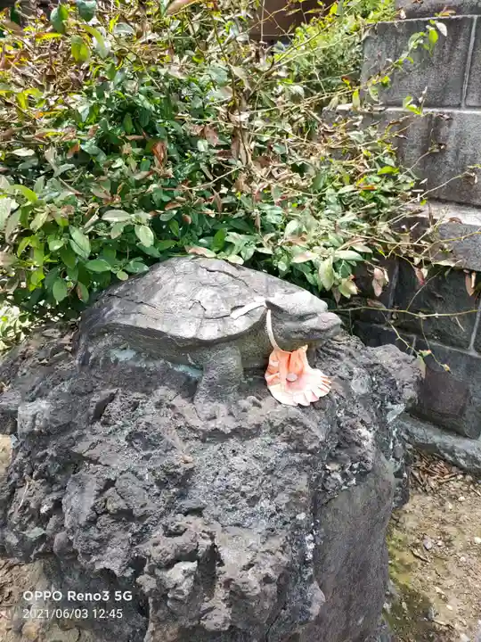 隅田川神社の狛犬