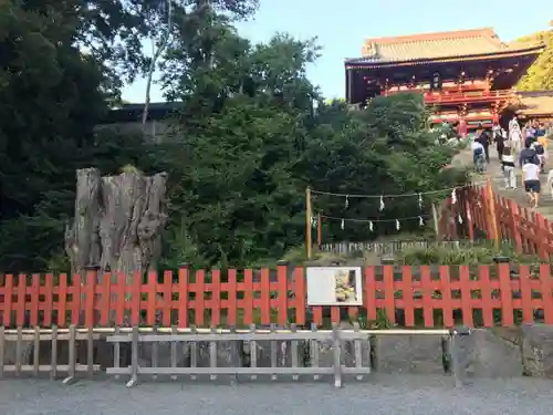 鶴岡八幡宮の建物その他