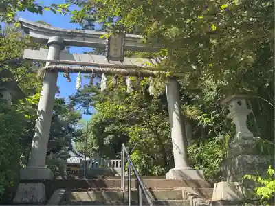 八日市普活廼神社(福井県)