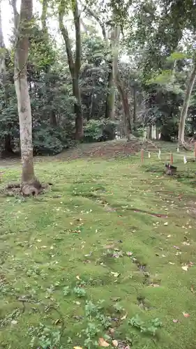 賀茂神社の自然