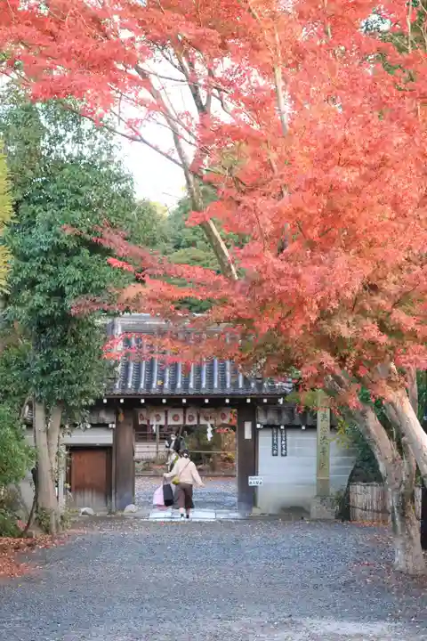 水無瀬神宮の山門・神門