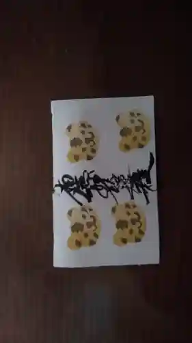 龍本寺の御朱印