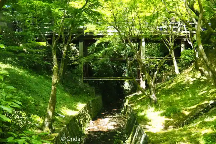 東福禅寺(東福寺)(京都府)