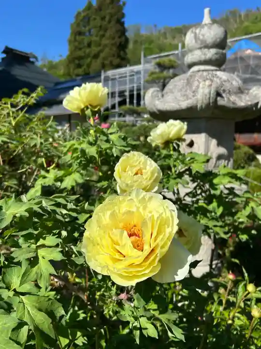 玄向寺の{uncategorized: "未分類", other: "その他", undefined: "問題あり", building: "その他建物", grave: "お墓", sacred_gate: "鳥居", guardian: "狛犬", statue: "像", buddha: "仏像", history: "歴史", nature: "自然", garden: "庭園", animal: "動物", pagoda: "塔", temizu: "手水舎", mountain_gate: "山門・神門", sanctuary: "本殿・本堂", subordinate: "末社・摂社", art: "芸術", scenery: "景色", jizo: "地蔵", ema: "絵馬", goshuin: "御朱印", omikuji: "おみくじ", items: "授与品その他", amulet: "お守り", goshuincho: "御朱印帳", eats: "食事", festival: "お祭り", votive_dance: "神楽", shichigosan: "七五三参", wedding: "結婚式", experience: "体験その他", initially: "初詣", around: "周辺", anti_infection: "感染症対策"}