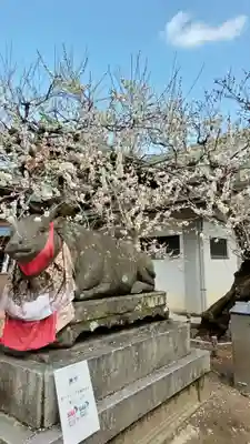 北野天満宮(京都府)