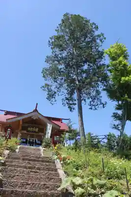 津島神社の本殿・本堂
