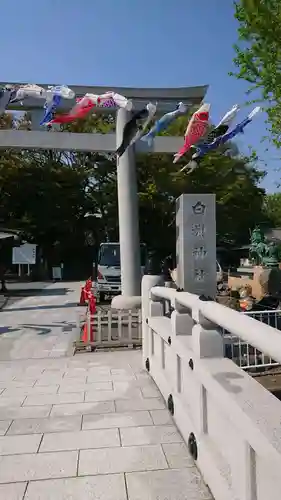 白旗神社の鳥居