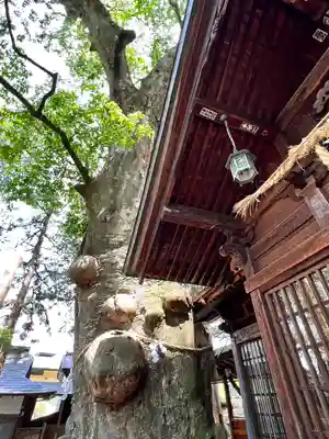 先宮神社(長野県)