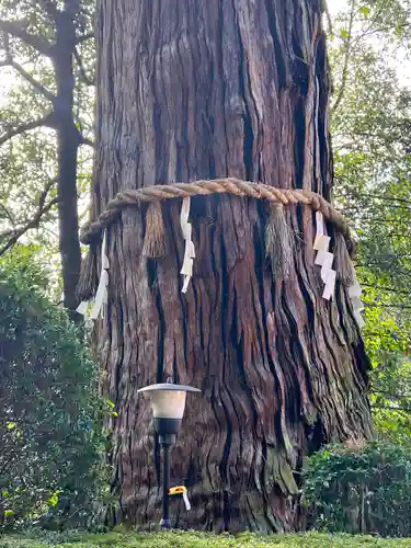 香取神宮(千葉県)