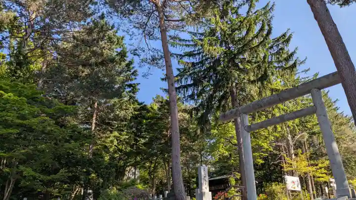 上川神社の鳥居