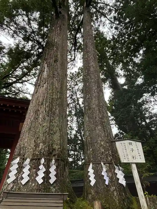 日光二荒山神社(栃木県)