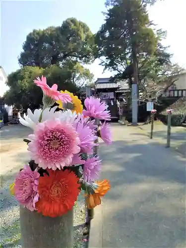 福島八幡宮(福岡県)