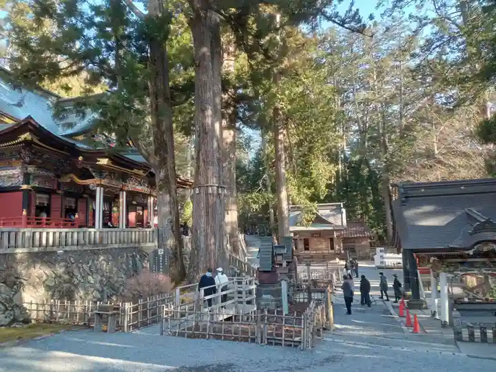三峯神社(埼玉県)