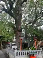 蟻通神社(和歌山県)