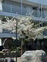 関貞寺(松林山)の{uncategorized: "未分類", other: "その他", undefined: "問題あり", building: "その他建物", grave: "お墓", sacred_gate: "鳥居", guardian: "狛犬", statue: "像", buddha: "仏像", history: "歴史", nature: "自然", garden: "庭園", animal: "動物", pagoda: "塔", temizu: "手水舎", mountain_gate: "山門・神門", sanctuary: "本殿・本堂", subordinate: "末社・摂社", art: "芸術", scenery: "景色", jizo: "地蔵", ema: "絵馬", goshuin: "御朱印", omikuji: "おみくじ", items: "授与品その他", amulet: "お守り", goshuincho: "御朱印帳", eats: "食事", festival: "お祭り", votive_dance: "神楽", shichigosan: "七五三参", wedding: "結婚式", experience: "体験その他", initially: "初詣", around: "周辺", anti_infection: "感染症対策"}