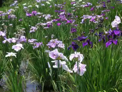 護国寺(山口県)