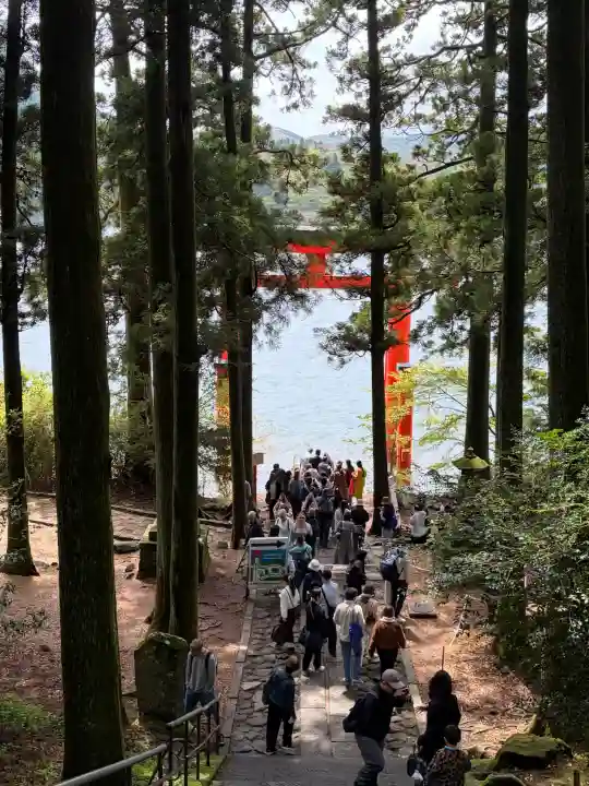 箱根神社の{uncategorized: "未分類", other: "その他", undefined: "問題あり", building: "その他建物", grave: "お墓", sacred_gate: "鳥居", guardian: "狛犬", statue: "像", buddha: "仏像", history: "歴史", nature: "自然", garden: "庭園", animal: "動物", pagoda: "塔", temizu: "手水舎", mountain_gate: "山門・神門", sanctuary: "本殿・本堂", subordinate: "末社・摂社", art: "芸術", scenery: "景色", jizo: "地蔵", ema: "絵馬", goshuin: "御朱印", omikuji: "おみくじ", items: "授与品その他", amulet: "お守り", goshuincho: "御朱印帳", eats: "食事", festival: "お祭り", votive_dance: "神楽", shichigosan: "七五三参", wedding: "結婚式", experience: "体験その他", initially: "初詣", around: "周辺", anti_infection: "感染症対策"}