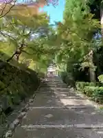 正伝護国禅寺(正伝寺・正傳寺)(京都府)