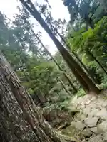 飛瀧神社(熊野那智大社別宮)(和歌山県)