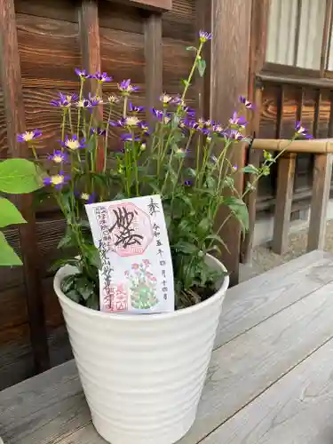 妙蓮寺(神奈川県)