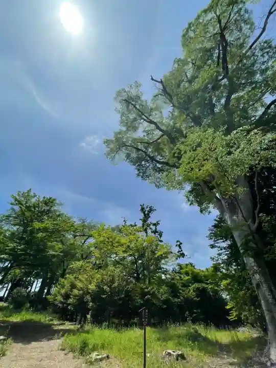 神炊館神社 ⁂奥州須賀川総鎮守⁂の{uncategorized: "未分類", other: "その他", undefined: "問題あり", building: "その他建物", grave: "お墓", sacred_gate: "鳥居", guardian: "狛犬", statue: "像", buddha: "仏像", history: "歴史", nature: "自然", garden: "庭園", animal: "動物", pagoda: "塔", temizu: "手水舎", mountain_gate: "山門・神門", sanctuary: "本殿・本堂", subordinate: "末社・摂社", art: "芸術", scenery: "景色", jizo: "地蔵", ema: "絵馬", goshuin: "御朱印", omikuji: "おみくじ", items: "授与品その他", amulet: "お守り", goshuincho: "御朱印帳", eats: "食事", festival: "お祭り", votive_dance: "神楽", shichigosan: "七五三参", wedding: "結婚式", experience: "体験その他", initially: "初詣", around: "周辺", anti_infection: "感染症対策"}
