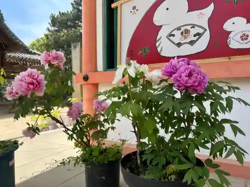 住吉神社(兵庫県)