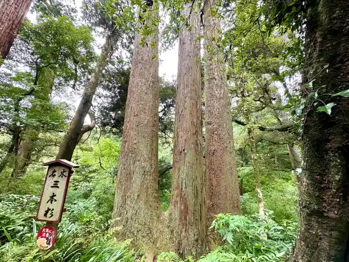 笠森寺(千葉県)