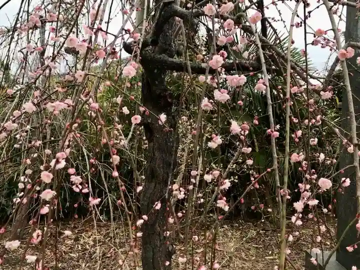鶴峯八幡宮(千葉県)