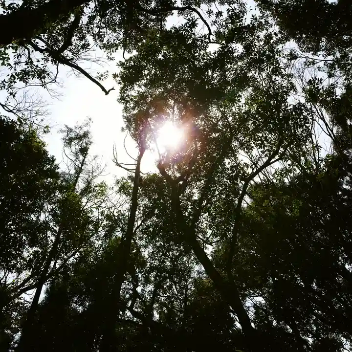 沼尾神社の自然