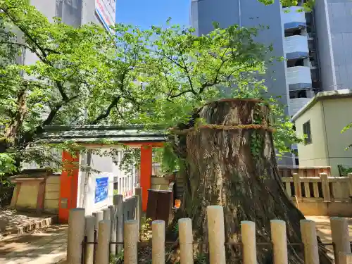 生田神社の建物その他