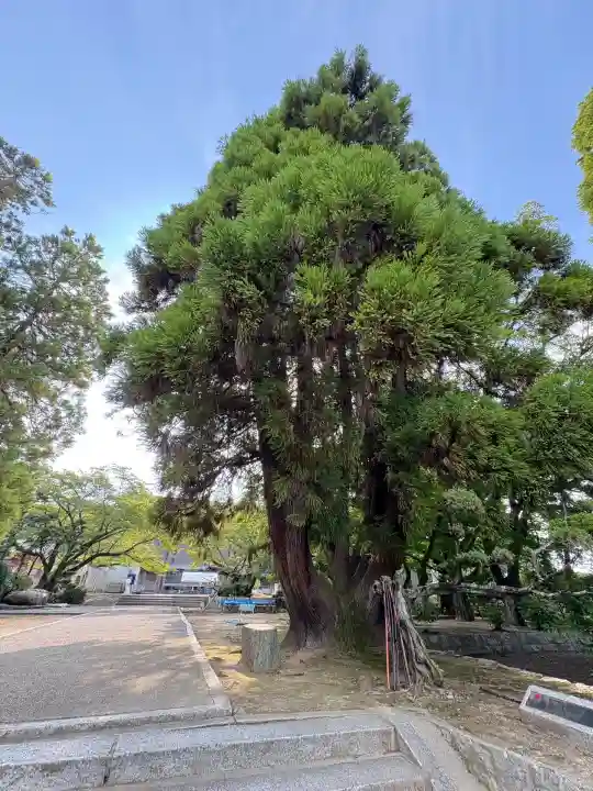 香園寺(愛媛県)