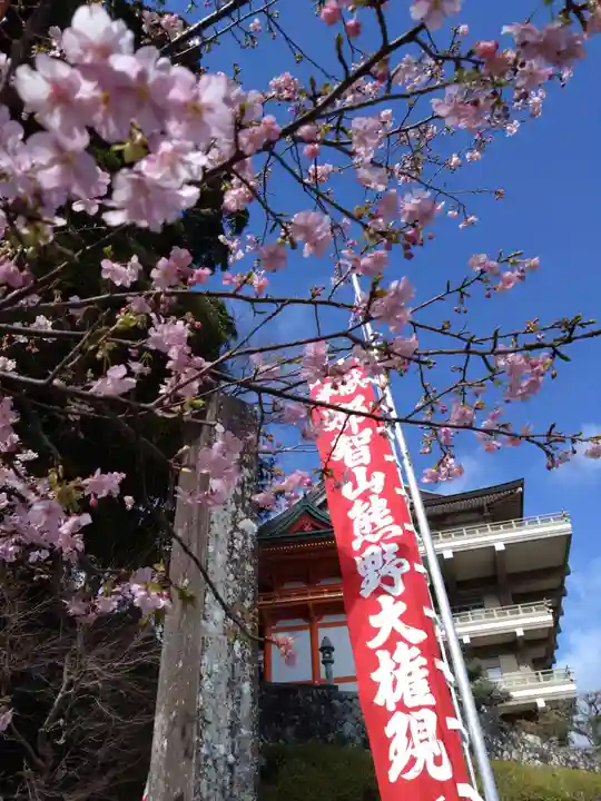熊野那智大社(和歌山県)