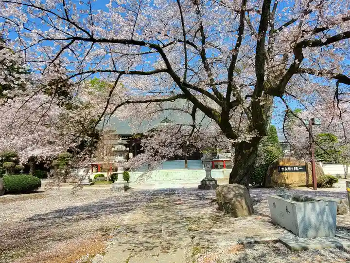 宗光寺(栃木県)