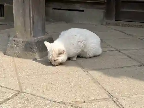 雀神社(茨城県)