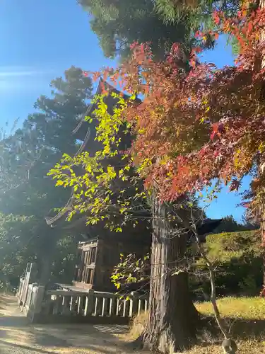 国宝 大法寺の自然
