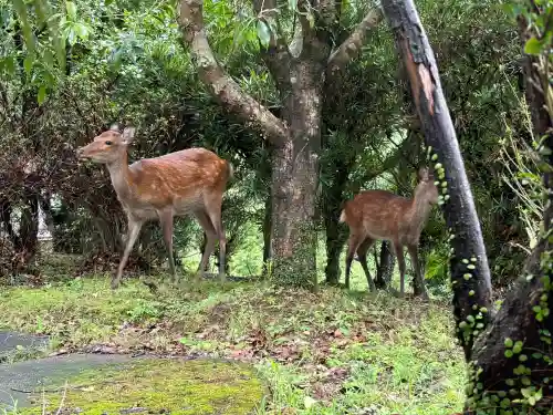 熊野那智大社(和歌山県)