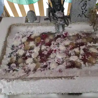 札幌諏訪神社の手水舎