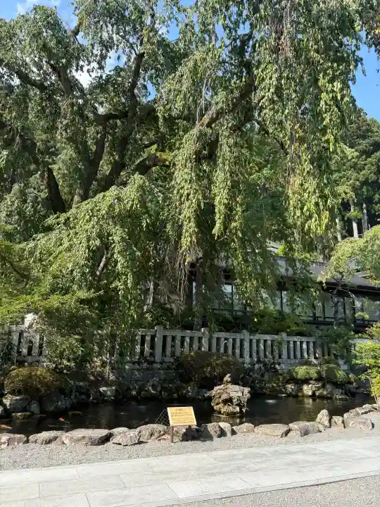 久遠寺(山梨県)