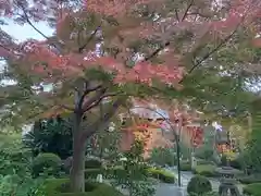 月蔵寺(大阪府)