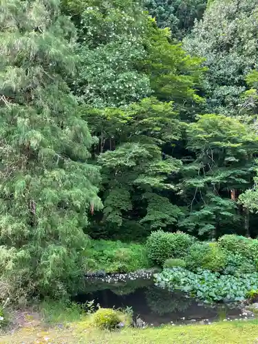 国上寺(新潟県)