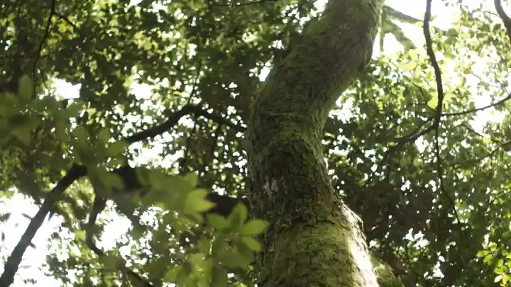 平安神宮(京都府)