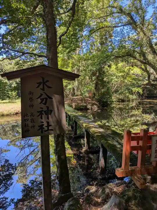 宇佐神宮(大分県)