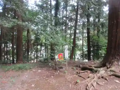 瀧野神社(埼玉県)