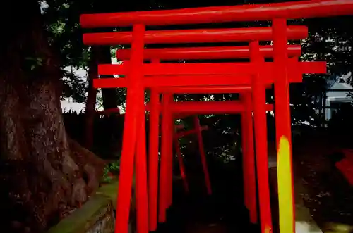 品川神社の鳥居