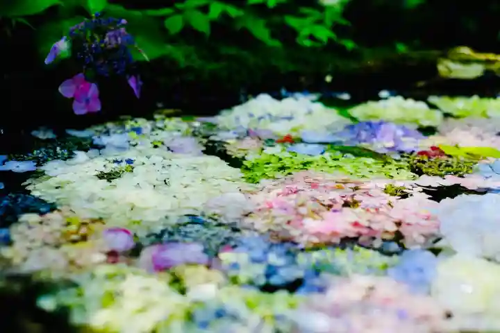 三光寺(岐阜県)